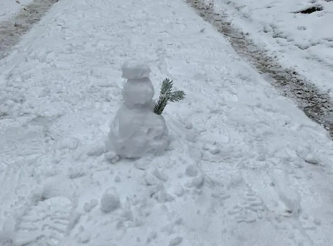 No.813 斯克拉斯卡波伦巴